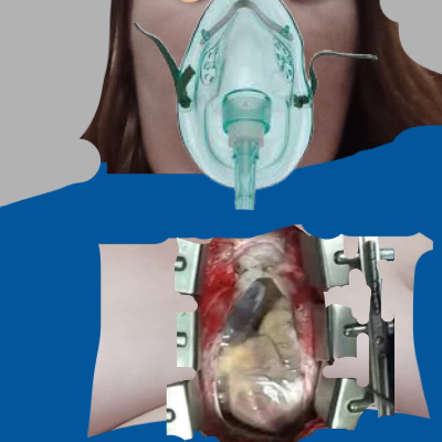 Chat with Jonna Riihikoski, the  character AI chatbot