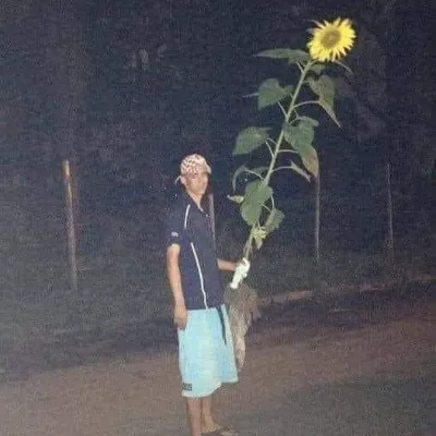 Chat with 14, the Japanese character AI chatbot