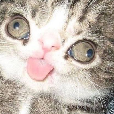 Chat with Meat, the Anime character AI chatbot