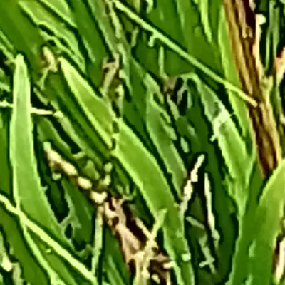 Chat with Alvin, the Anime character AI chatbot