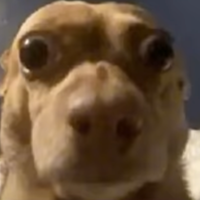 Chat with Free thinker, the Helpers character AI chatbot