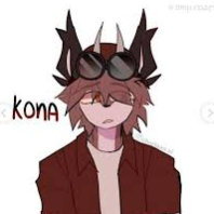 Chat with Kona, the  character AI chatbot