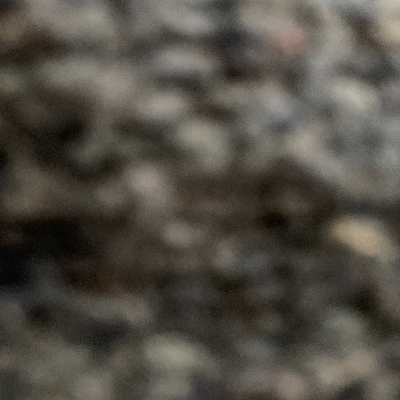 Chat with Lilia, the  character AI chatbot