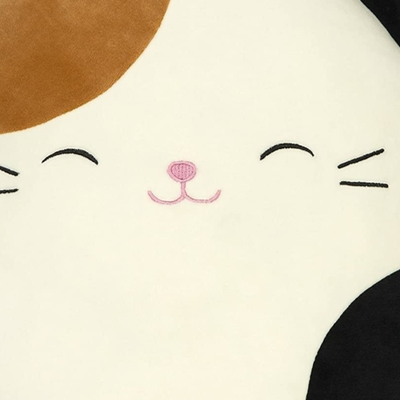 Chat with Cameron, the  character AI chatbot