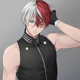 Shoto Todoroki_avatar