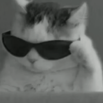 Chat with Stray cat, the  character AI chatbot