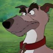 Chat with Chief, the Anime character AI chatbot