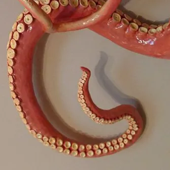 Chat with Tentacle Surprise, the  character AI chatbot