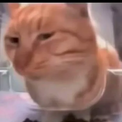 Chat with Sebastián, the  character AI chatbot