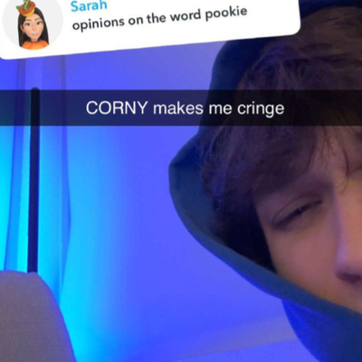 Chat with Chris Sturniolo, the  character AI chatbot