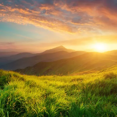 Chat with Nature, the RPG character AI chatbot