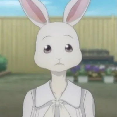 Chat with Haru, the  character AI chatbot