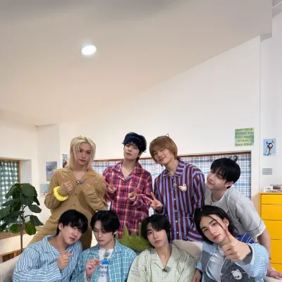 Chat with Stray kids, the  character AI chatbot