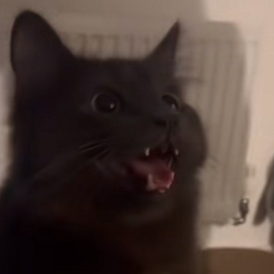 Chat with Boykisser, the Furry character AI chatbot