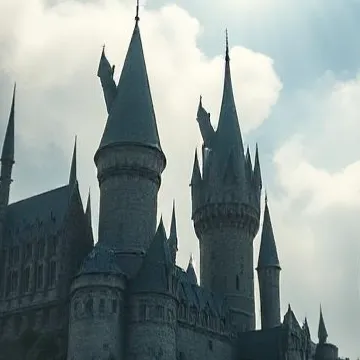 Chat with Hogwarts pick-me, the  character AI chatbot