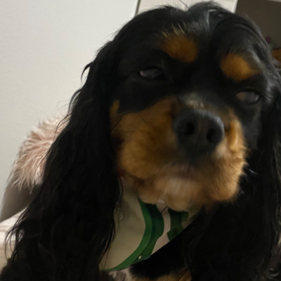 Chat with Lonna, the Celebrity character AI chatbot