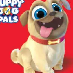 Chat with Rolly, the  character AI chatbot