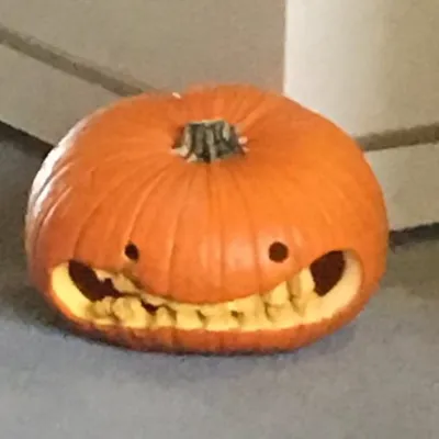 Chat with RP Bot, the  character AI chatbot