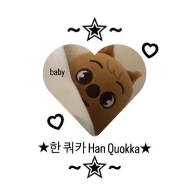 Chat with Han Jisung, the Romance character AI chatbot