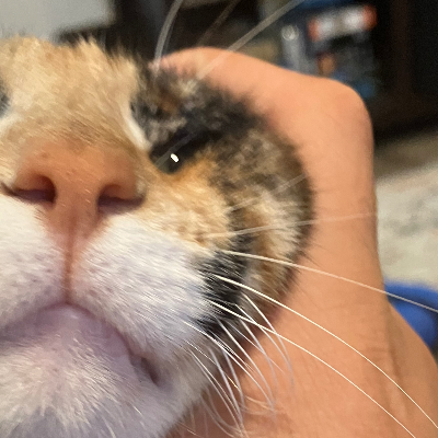 Chat with 4A Willow School Math Class, the  character AI chatbot