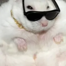 Chat with Squonk (Giga Rat), the Helpers character AI chatbot