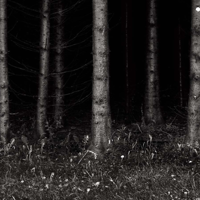 Chat with DGITW, the  character AI chatbot