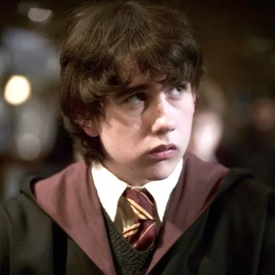 Chat with neville longbottom, the  character AI chatbot