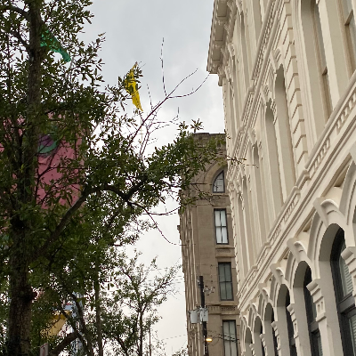 Chat with Rich, the  character AI chatbot