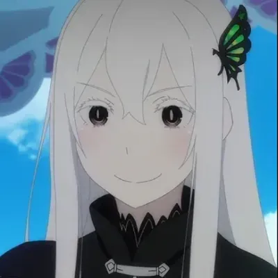 Chat with echidna, the  character AI chatbot