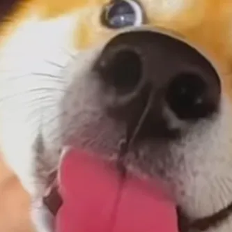 Chat with Floating Hands, the  character AI chatbot