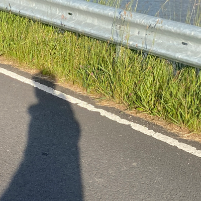 Chat with Marte, the Anime character AI chatbot