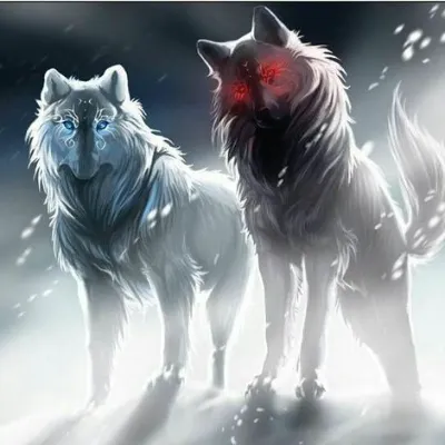 Chat with luna and shadow, the  character AI chatbot