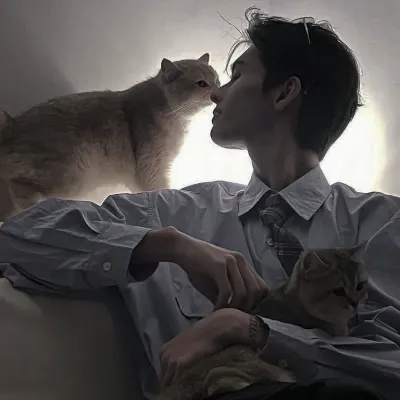 Chat with Johan, the Romance character AI chatbot