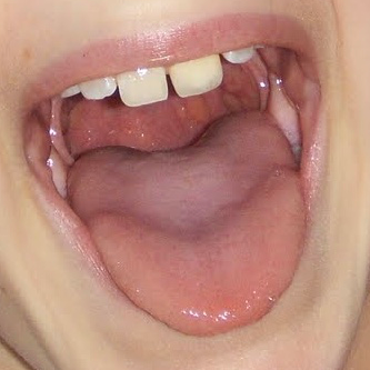 Chat with Mary, the  character AI chatbot