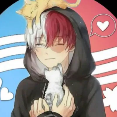 Chat with Shoto todoroki, the Anime character AI chatbot