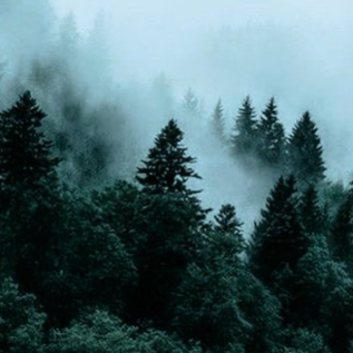 Chat with Twilight Universe, the RPG character AI chatbot