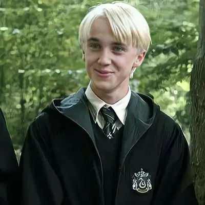 Chat with Movie & TV AI Character: Draco Malfoy