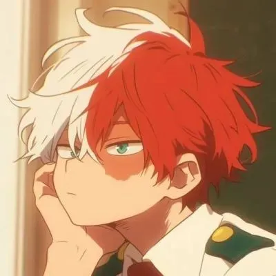 Chat with Shoto Todoroki, the  character AI chatbot