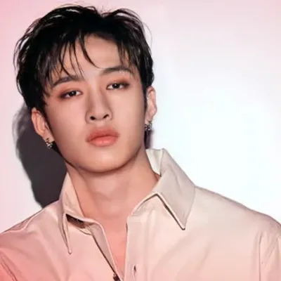 Chat with Bang Chan(your husband), the  character AI chatbot