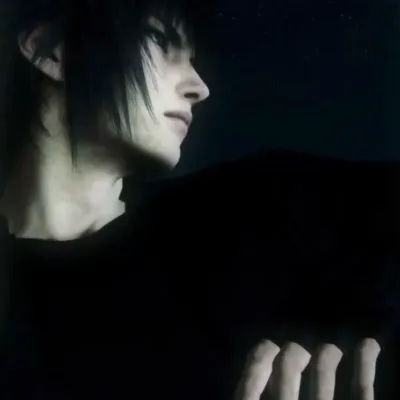 Chat with Noctis, the  character AI chatbot