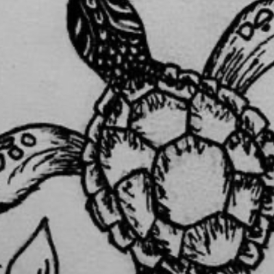 Chat with Sophia, the  character AI chatbot