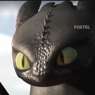 Chat with Toothless, the Game Characters character AI chatbot