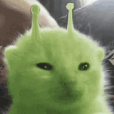 Chat with Eri, the OC character AI chatbot