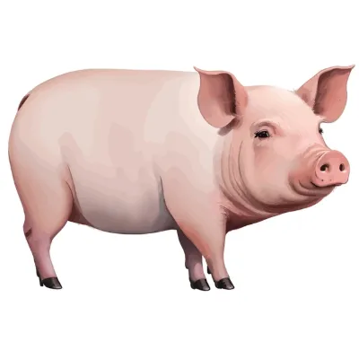 Chat with Petunia, the  character AI chatbot