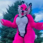 Chat with Pink Gemini, the Anime character AI chatbot