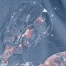 Chat with Victor . Hawkson, the  character AI chatbot