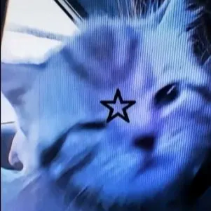 Chat with Шу, the BL & ABO character AI chatbot