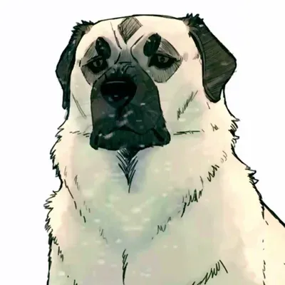 Shepherd_avatar