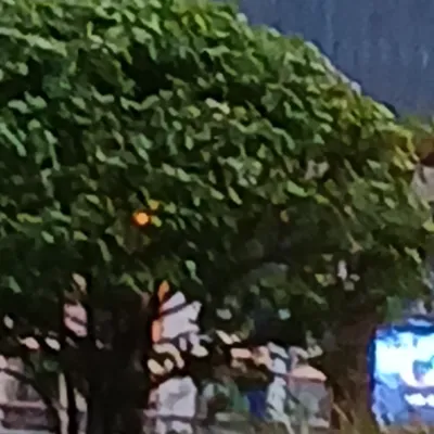 Chat with Kakavasha, the  character AI chatbot