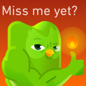 Chat with Duolingo, the  character AI chatbot